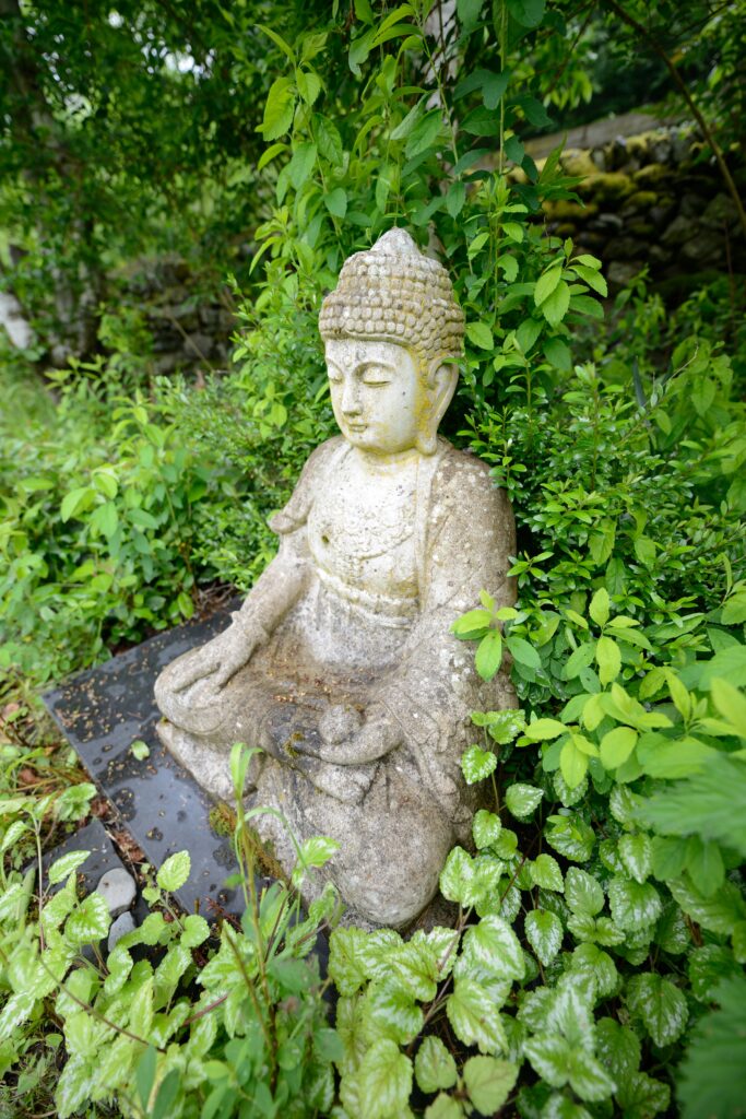 The programs featured image